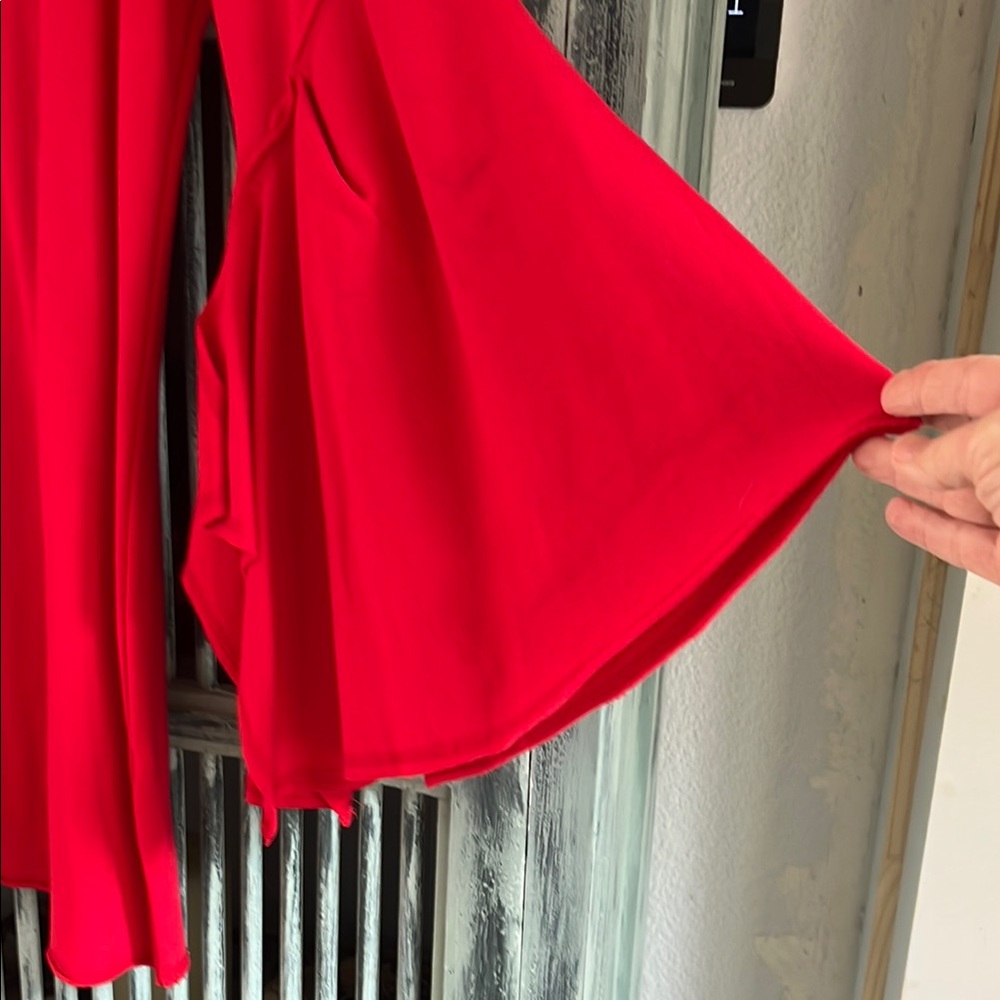 Red Ruffled Sleeve Dress - Picture 3 of 5